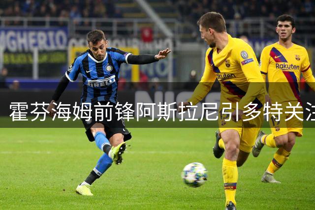 霍芬海姆前锋阿斯拉尼引多特关注 转会去向未定