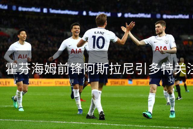 霍芬海姆前锋阿斯拉尼引多特关注 转会去向未定